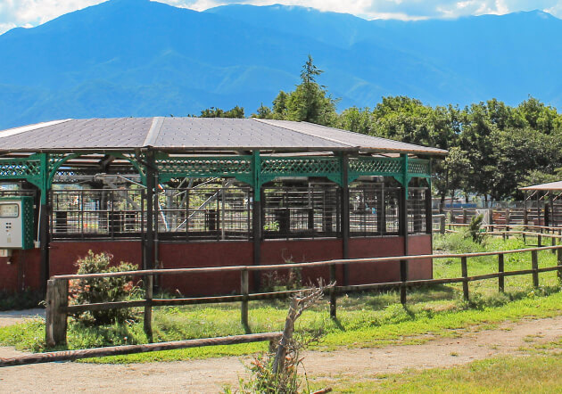 ホースウォーカー完備